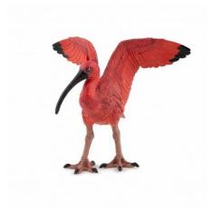 Ibis escarlata