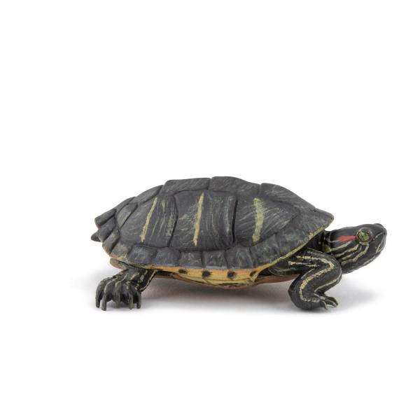 Tortue de Floride - Papo-50309