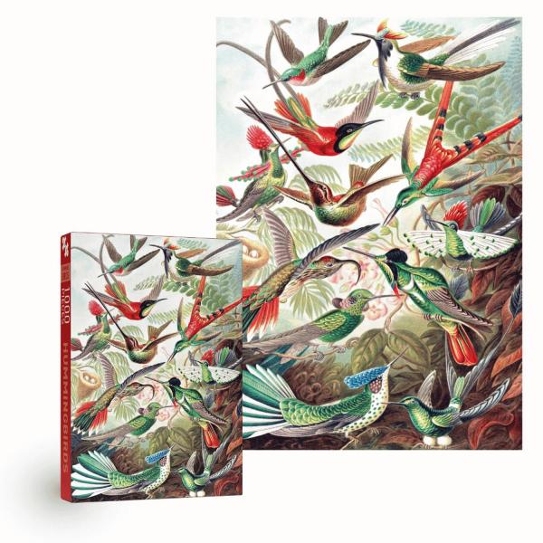 Puzzle 1000 piezas: COLIBRIS   - PP404