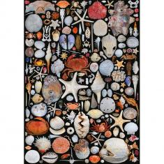 1000 Teile Puzzle: MUSCHELN