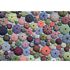 1000 pieces Jigsaw Puzzle: Sea Urchins