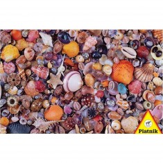 Puzzle de 1000 piezas - Collage de conchas marinas