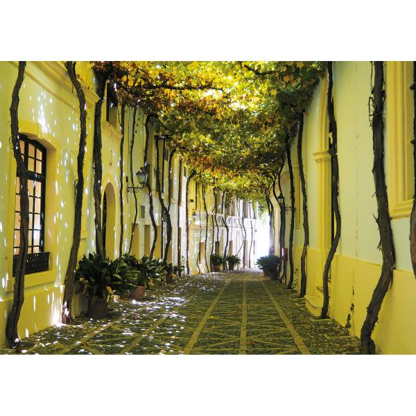 1000 piece puzzle: Andalusian alley - Piatnik-5583