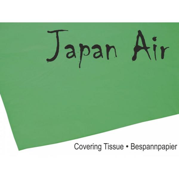 Papier Japon JAPAN AIR 16g vert 500 x 690 mm (10 pieces) - Pichler - C9377