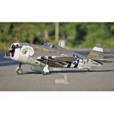 P-47B Thunderbolt (Touch of Texas) 1500mm - Pichler