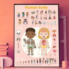 Poster pédagogique et stickers : Le corps humain