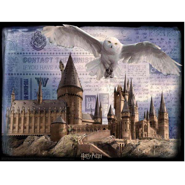 Puzzle de 300 piezas: Puzzle Super 5D Harry Potter: Hogwarts y Hedwig - Wizarding-58041