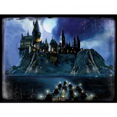 Puzzle 300 pièces : Super 5D puzzle Harry Potter : Poudlard