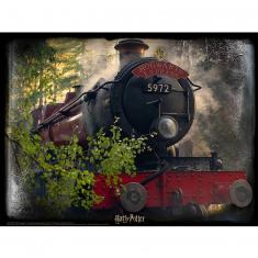 Puzzle 300 pièces : Super 5D puzzle Harry Potter : Le Poudlard Express
