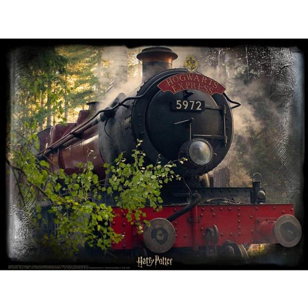 Puzzle 300 pièces : Super 5D puzzle Harry Potter : Le Poudlard Express - Wizarding-58042