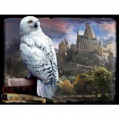 Puzzle 300 pièces : Super 5D puzzle Harry Potter : Hedwige 