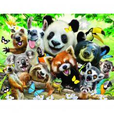 Puzzle 48 pièces : Selfies Bush Babies