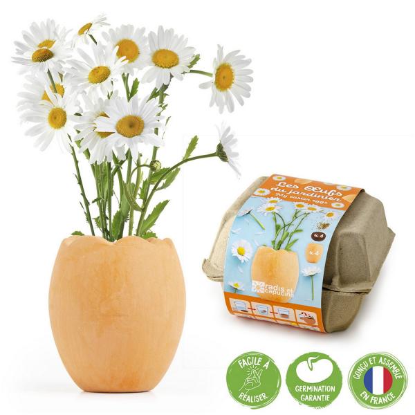 Gardening kit: The Gardener's eggs - RadisetCapucine-37084