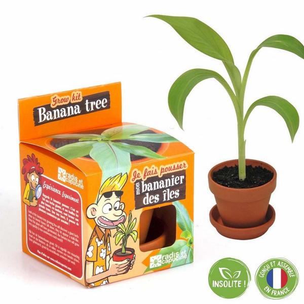 Kit de jardinería: Semillas de plátano para cultivar - RadisetCapucine-14265