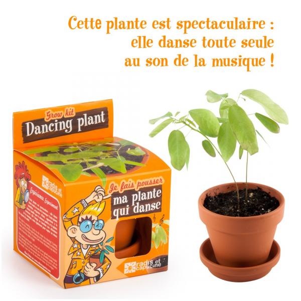 Kit de jardinería: Semillas de plantas danzantes - Para cultivar - RadisetCapucine-28733