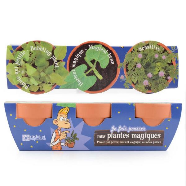 Kit de jardinería: 3 macetas de plantas mágicas - RadisetCapucine-34137