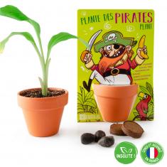 Kit de jardinería: El pirata y su platanero para sembrar
