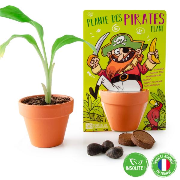 Kit de jardinería: El pirata y su platanero para sembrar - RadisetCapucine-34127