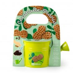 Gardening kit: Mini green watering can and peanut seeds