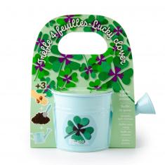 Gardening kit: Mini blue watering can and its clover seeds