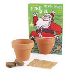 Santa Claus kit and his spruce tree to sow