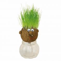 Wachsender Kopf mit Grassamen: Mr Green