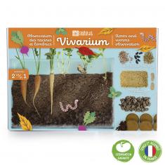 Terrarium: Observation of roots and earthworms