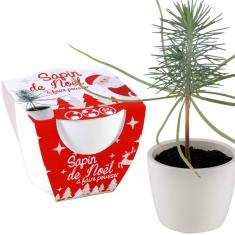 Árbol de Navidad con maceta de cerámica Blanco 8 cm