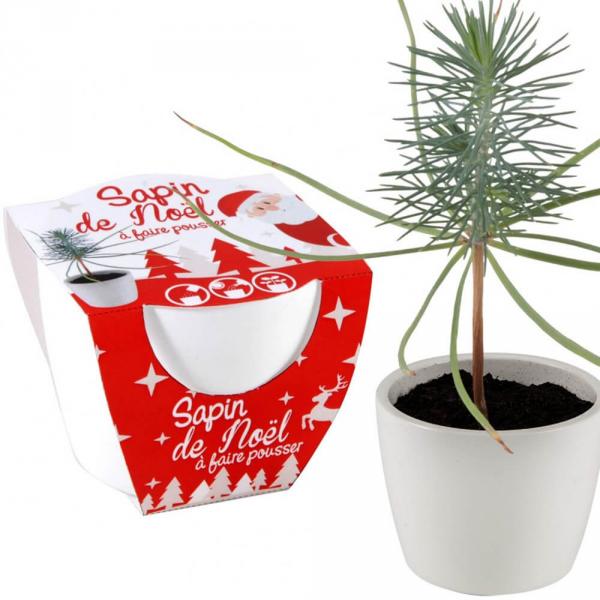 Árbol de Navidad con maceta de cerámica Blanco 8 cm - RadisetCapucine-32835