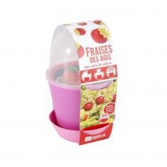 Kit de jardinage : Pot cloche Fraisiers