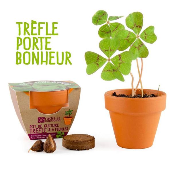 Kit de jardinage : Mini Pot Trèfle à 4 feuilles porte bonheur - RadisetCapucine-3559