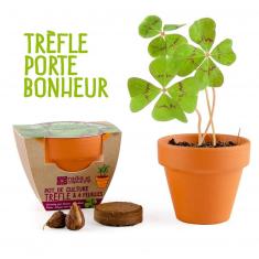 Kit de jardinería: Mini Maceta Trébol de 4 hojas trae suerte