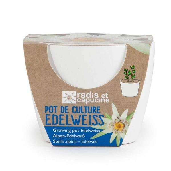 Kit de jardinería: Edelweiss cerámica blanca - RadisetCapucine-29656