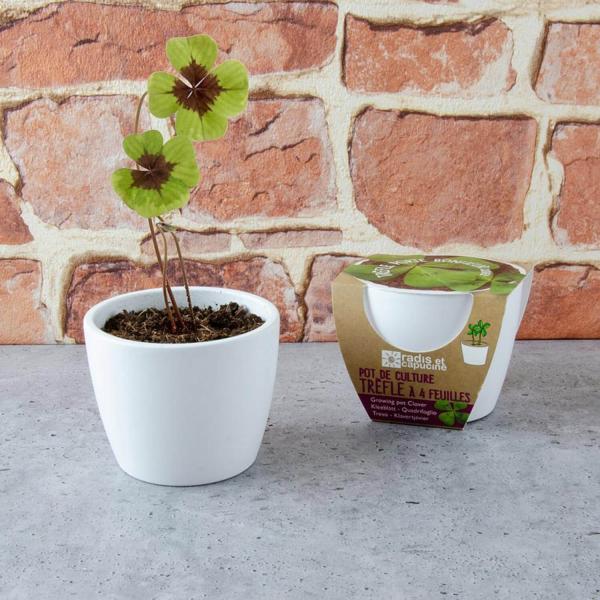 Kit de jardinage : Pot céramique Trèfle à 4 feuilles - RadisetCapucine-29657