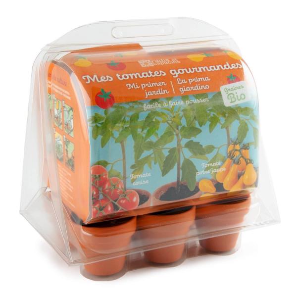 Gardening kit: Mini greenhouse 6 pots with organic tomatoes - RadisetCapucine-37413