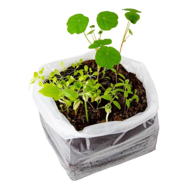 Gardening kit: L’Atelier Maxi Organic Vegetable Garden - RadisetCapucine-41549