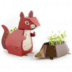 Kit de jardinería: Pop Up Animals: Ardilla y Erizo