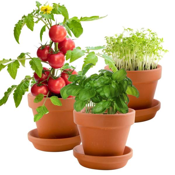 Kit de jardinería: Trío de 3 maceteros gourmet orgánicos - RadisetCapucine-41564