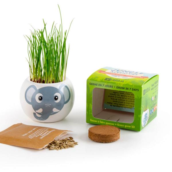 Gardening kit: Elephant ceramic - RadisetCapucine-PF134008