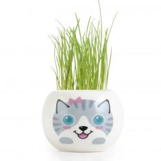 Kit de jardinería: gato gris de cerámica