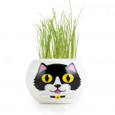 Gartenset: schwarze Katze aus Keramik