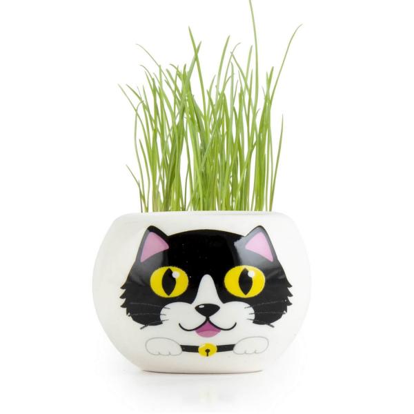 Kit jardinage : céramique chat noir - RadisetCapucine-36756