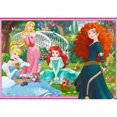 Puzzles 2 x 12 pièces : Dans le monde des princesses