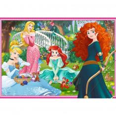 2 x 12 pieces puzzles: In the world of princesses