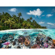 Puzzle 2000 pièces : Une plongée aux Maldives