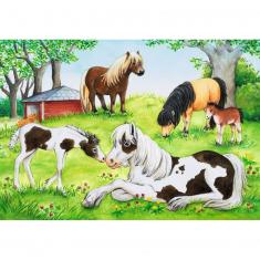 Puzzles 2 x 24 pièces  Monde de chevaux