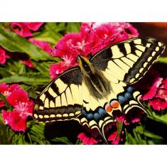 Puzzle de 500 piezas: Mariposa