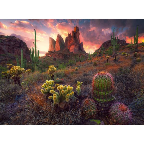 Puzzle 500 pièces : Cactus et épines - Ravensburger-12001380