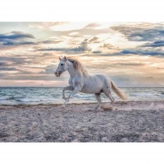 500 pieces puzzle: Horse on the beach