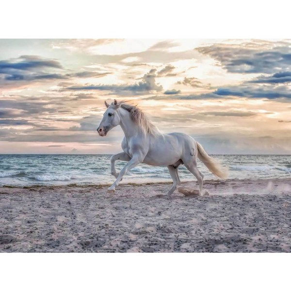 500 pieces puzzle: Horse on the beach - Ravensburger-16586